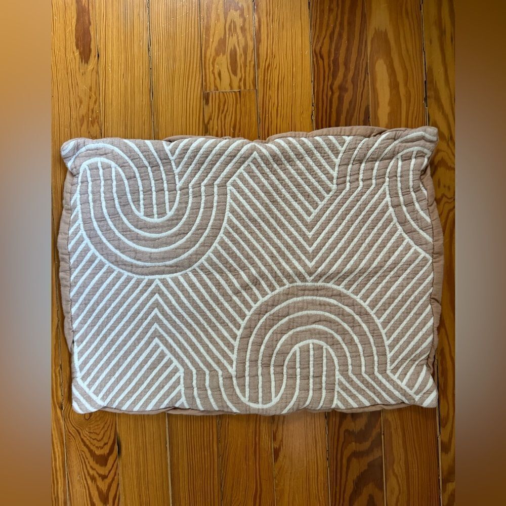 CB2 Pillowsham